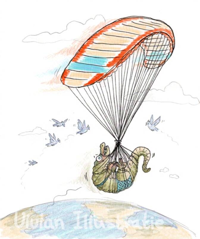 Hanggliding alligator