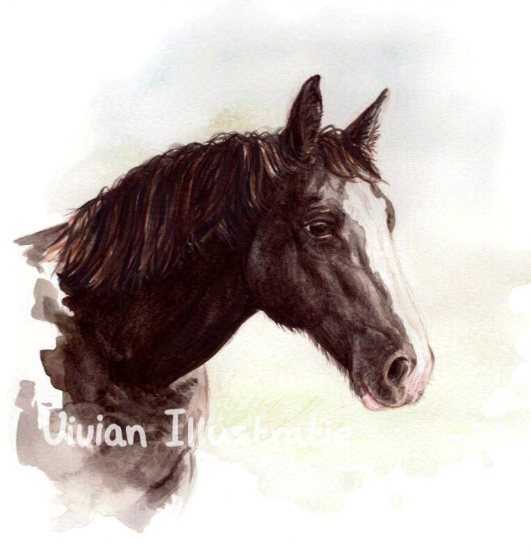 Portret donker paard