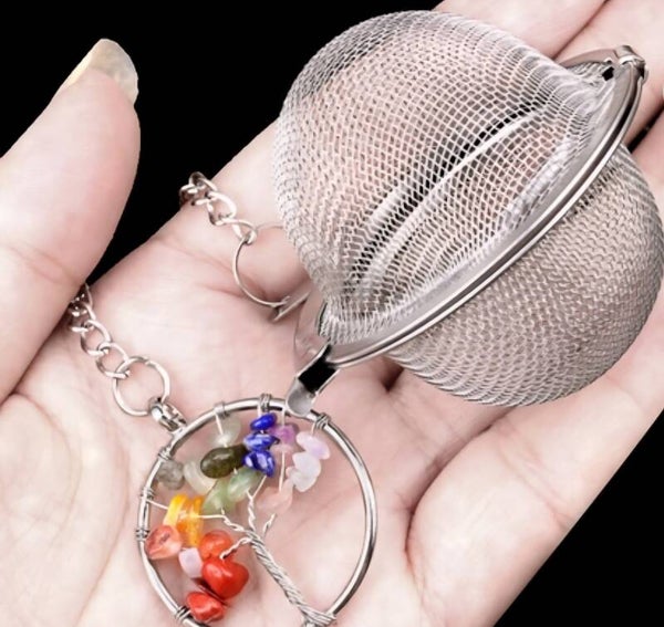 3 Infusores Arbol de la vida