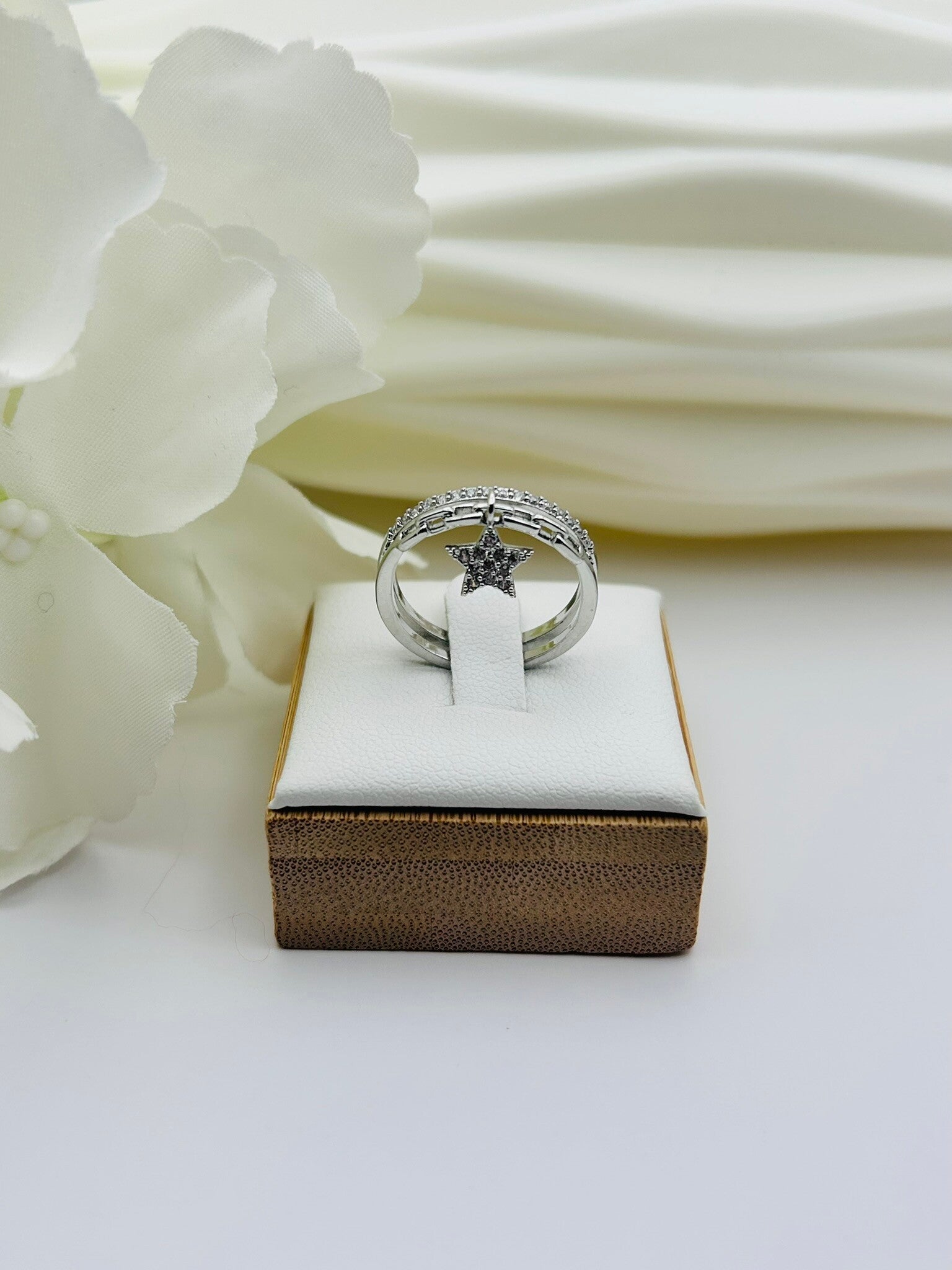 Nuit d'étoile argentée