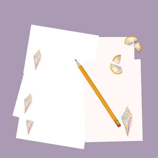 Briefpapier Schelp