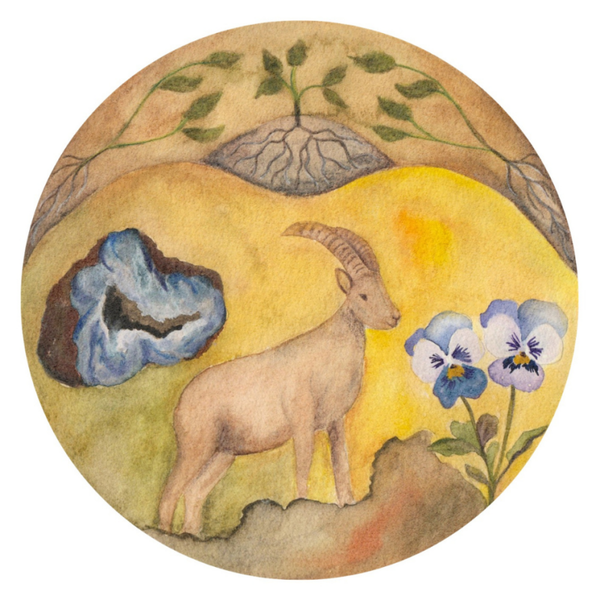 Steker sterrenbeeld Steenbok