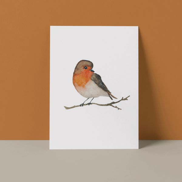 Wenskaart Roodborstje, enkel. -Set van 5-