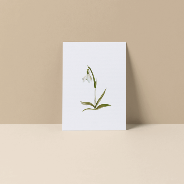 Wenskaart Sneeuwklokje met waterdruppel