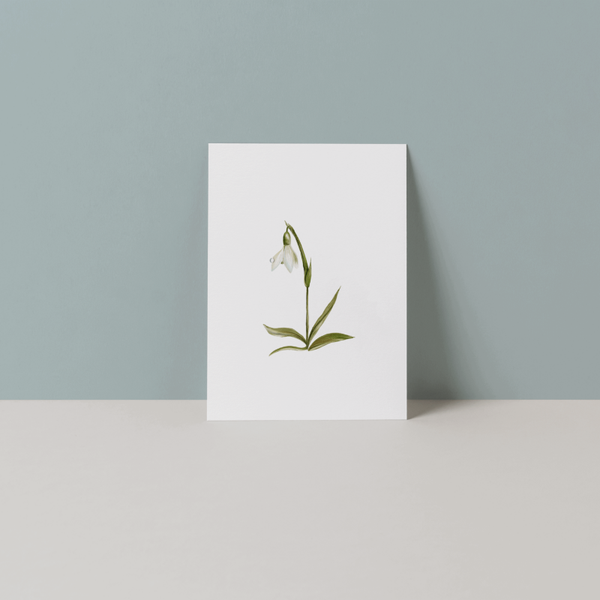 A7 kaartje Sneeuwklokje met waterdruppel