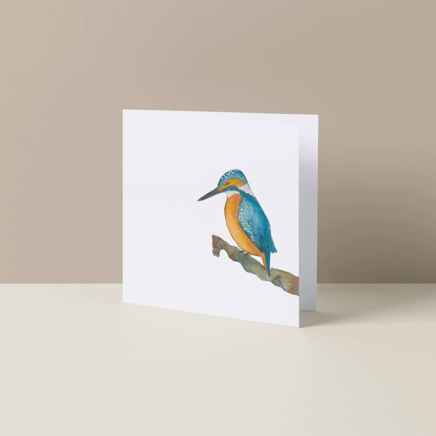 Gevouwen wenskaart IJsvogel