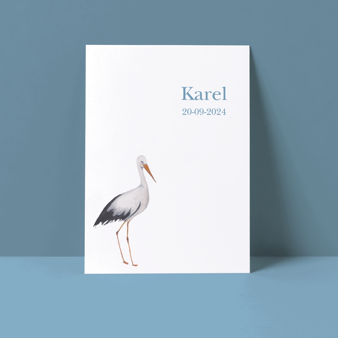 Geboortekaartje Karel/Cato