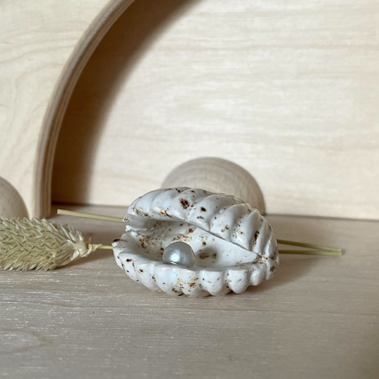 Ornament keramiek Schelp