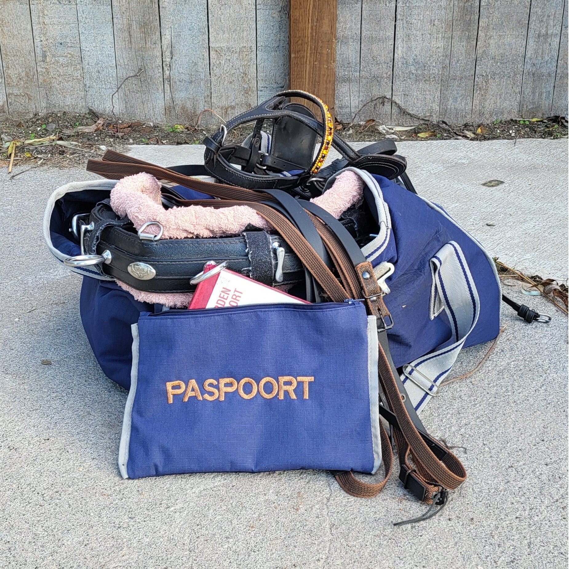 The Re-used Collection - Paspoorthoes