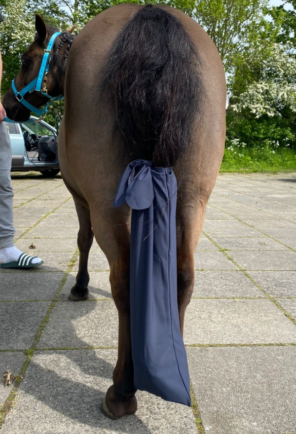 Staartzak