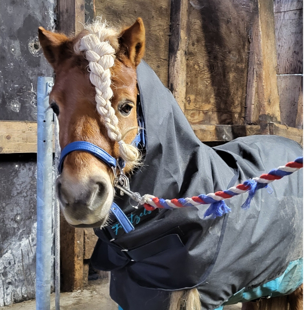 Losse hals dekenmaat 130 cm