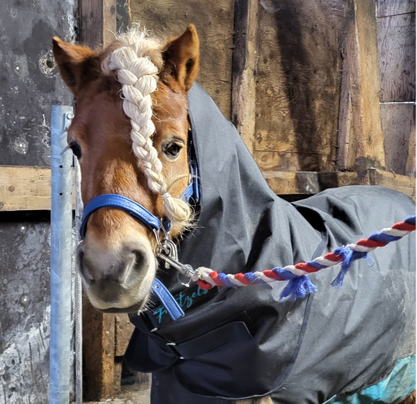 Losse hals dekenmaat 138 cm