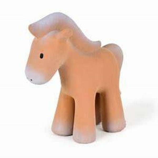 Paard 