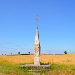 dsc_0151-standard.jpg
