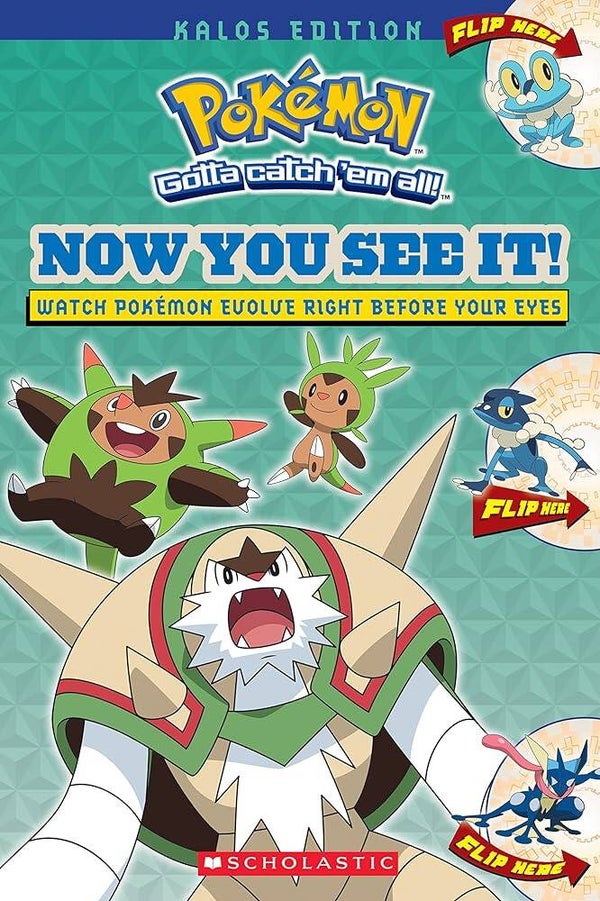 Pokémon : Now You See It