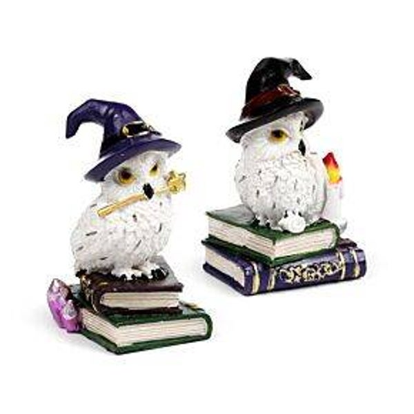 Wise Old Magical Owl - Spell Books
