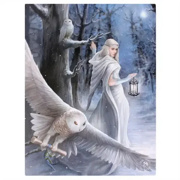 Midnight Messenger Glasses Case by Anne Stokes
