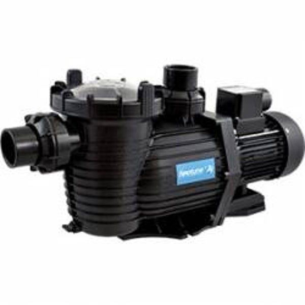 Neptune Pool Pump