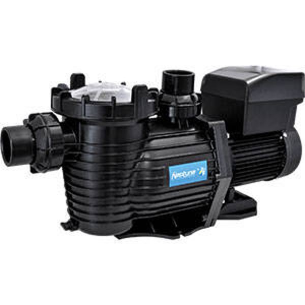 Neptune NPVS150 Variable Speed Pool Pump,