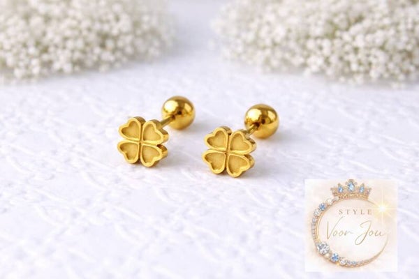 🍀✨ Elegante oorbellen van chirurgisch staal
