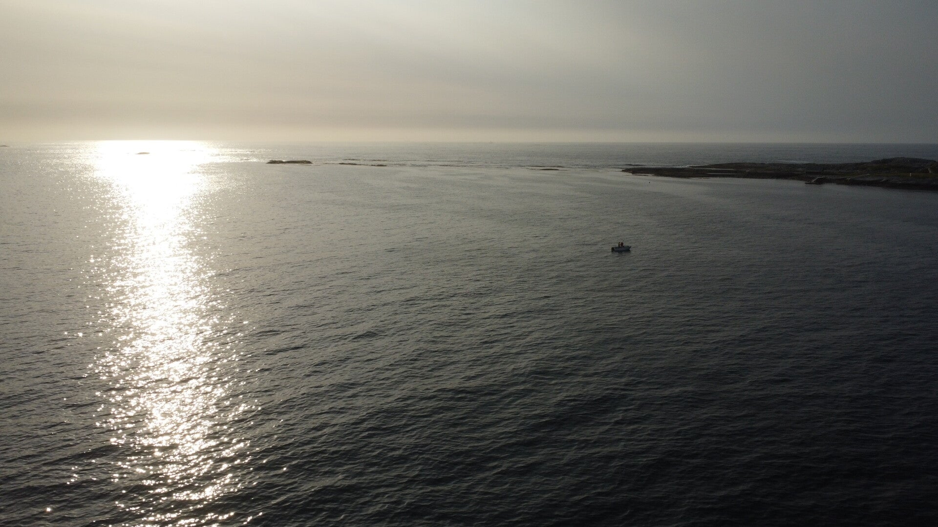 Vissen Noorwegen visvakantie Oslofjord