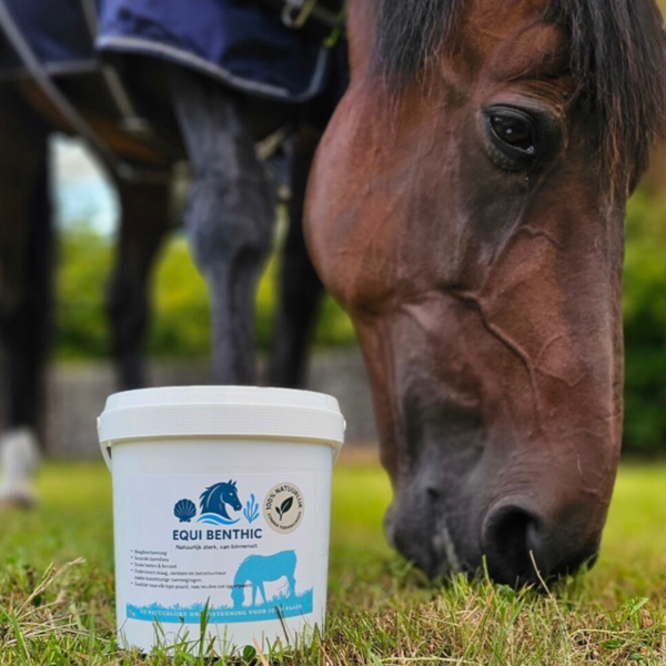 Equi Benthic - Rust en balans in de paardenmaag