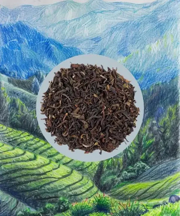 Darjeeling FTGFOP 1 Second Flush | Schwarzer Tee | 50-100g