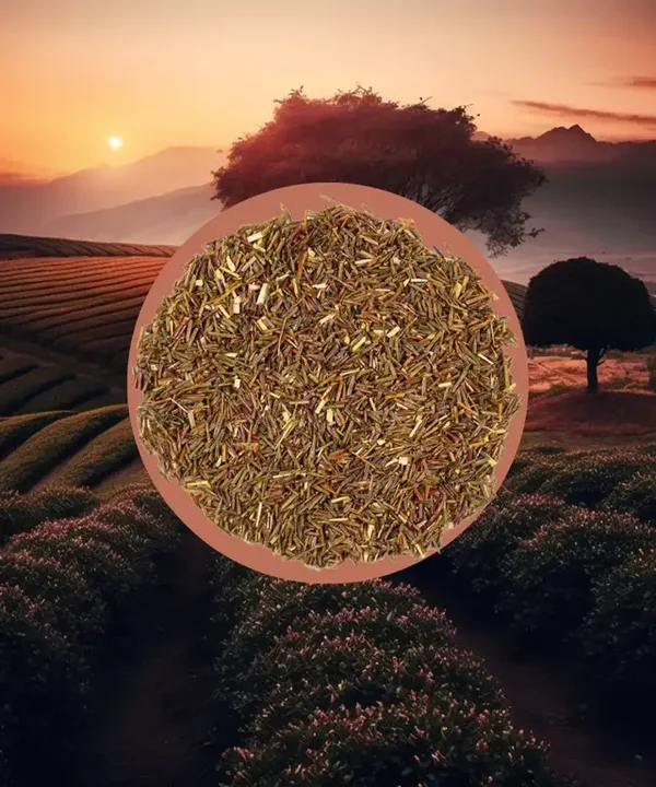 Grüner Rooibos Natur BIO | Rooibos & Honeybush | 50-100g