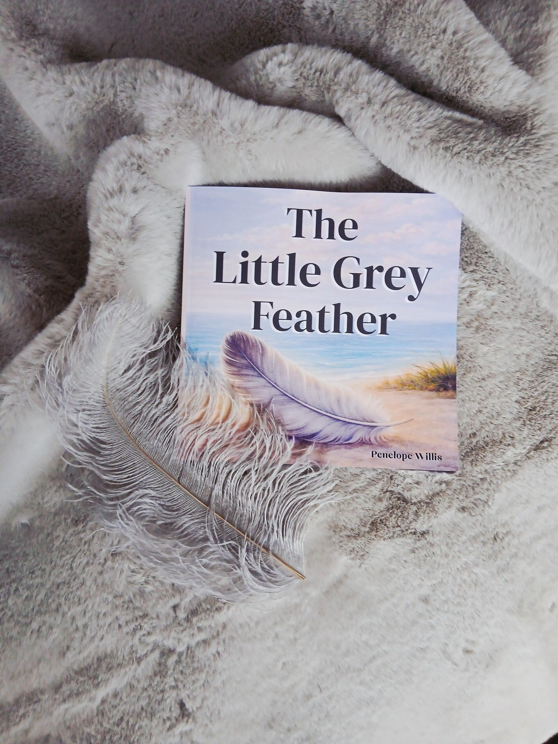 The Little Grey Feather by Penelope Willis, a calming bedtime story for children about change, comfort, and finding where you belong