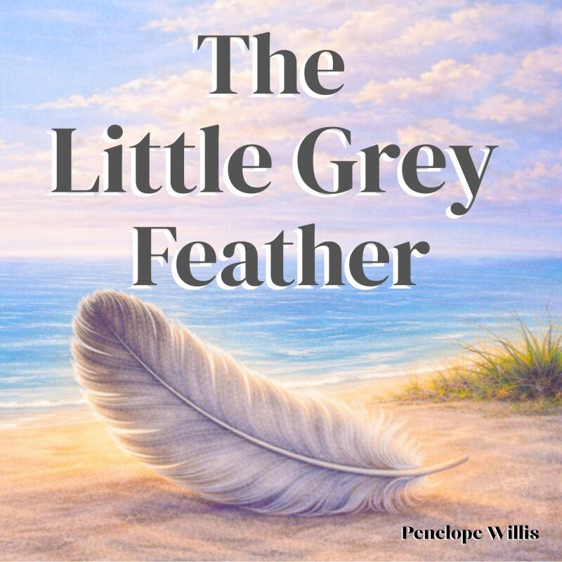 The Little Grey Feather book cover by Penelope Willis showing a soft grey feather on a calm beach, a soothing children’s bedtime story about change, belonging and emotional reassurance for ages 3 to 9