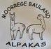 Moorrege Bauland Alpakas