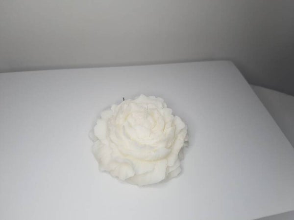 Pivoine