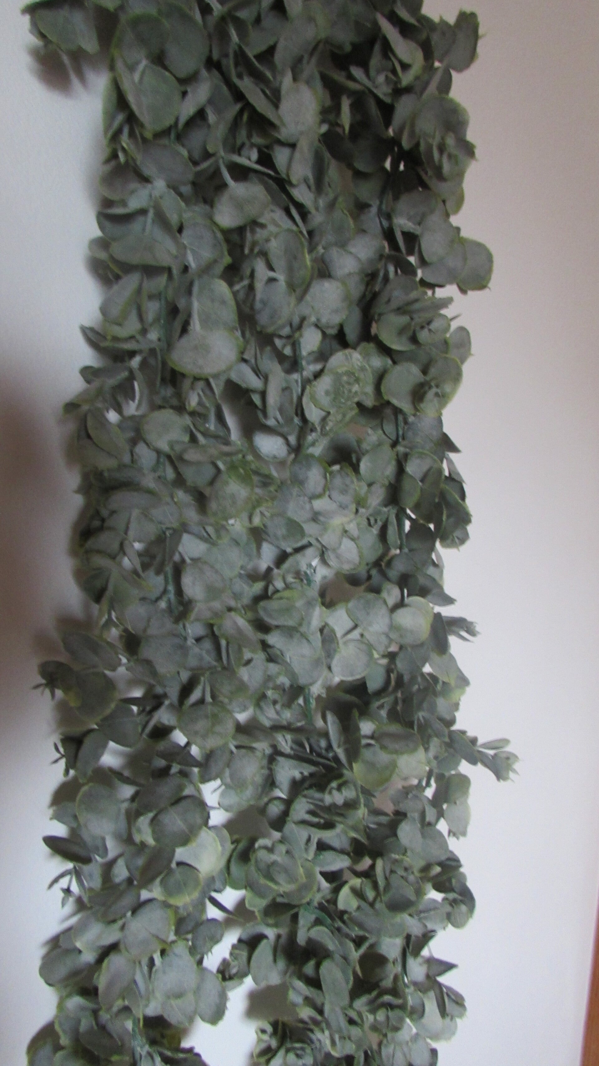 eucalyptus artificiel