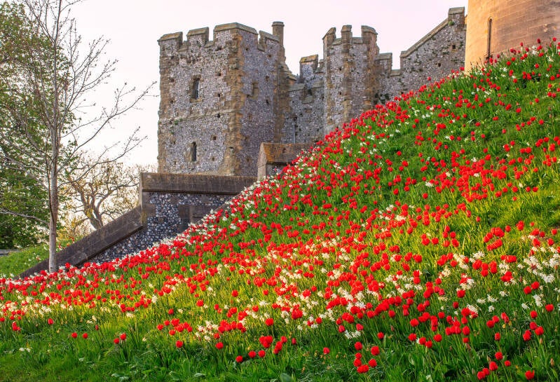 thinhs-to-do-arundel-castle-standard.jpg