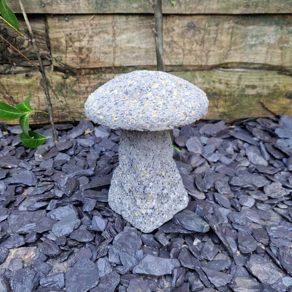 Aged Staddle Stone C