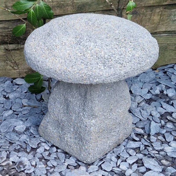 Aged Staddle Stone F