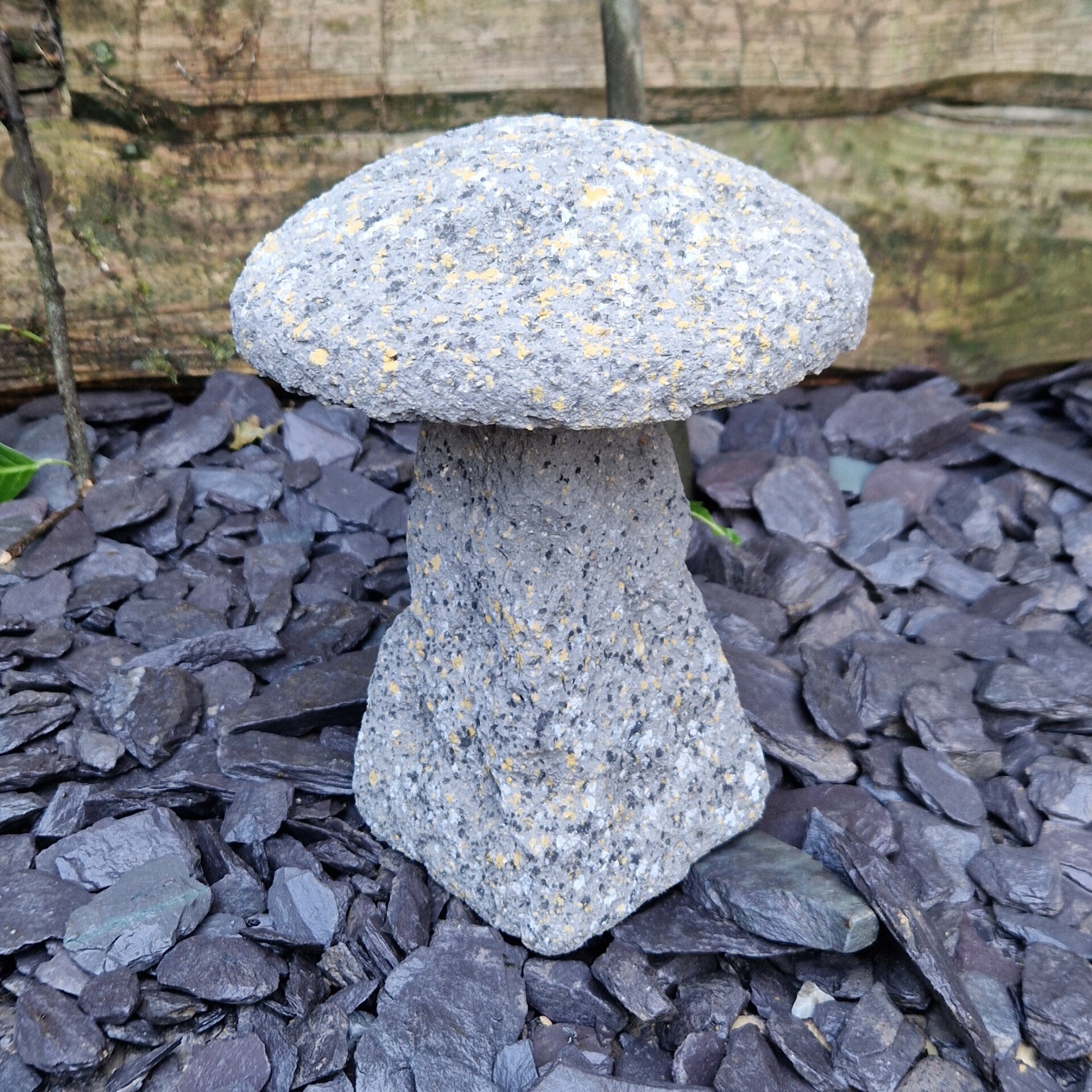 Aged Staddle Stone C