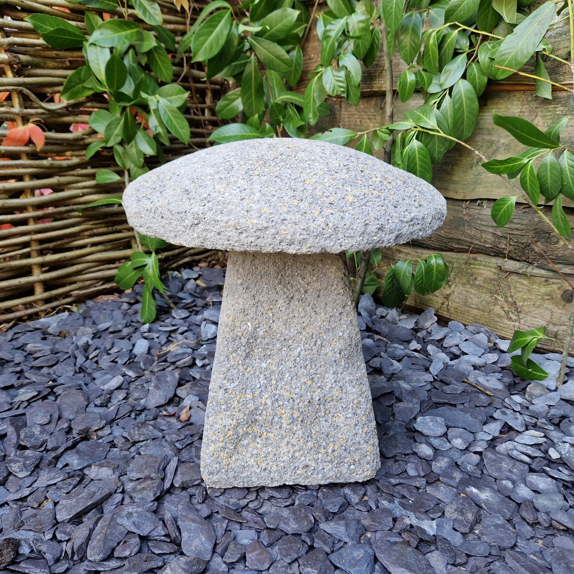 Aged Staddle Stone F