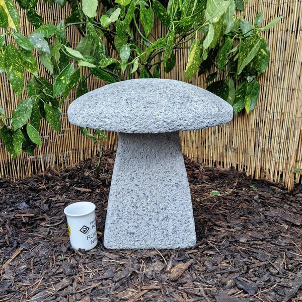 Weathered Grey Staddle Stone E