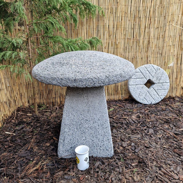 Weathered Grey Staddle Stone G