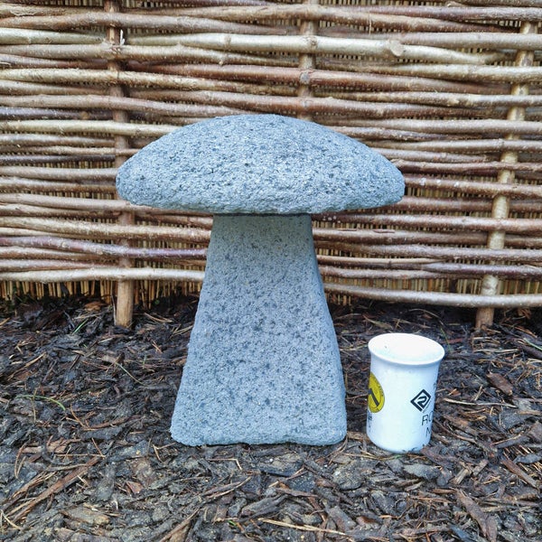 Weathered Grey Staddle Stone D