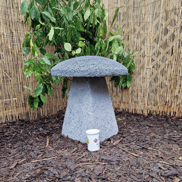 Weathered Grey Staddle Stone F