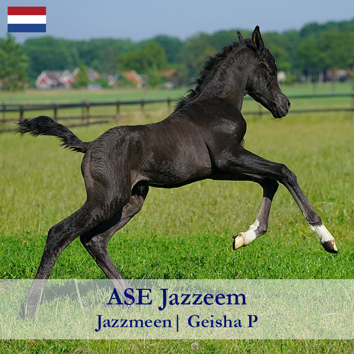 ASE-Jazzeem