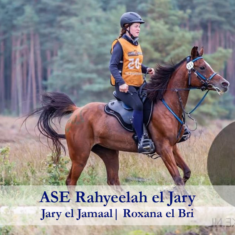 ASE-Rahyeelah