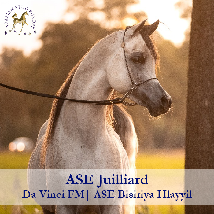 ASE-Juilliard