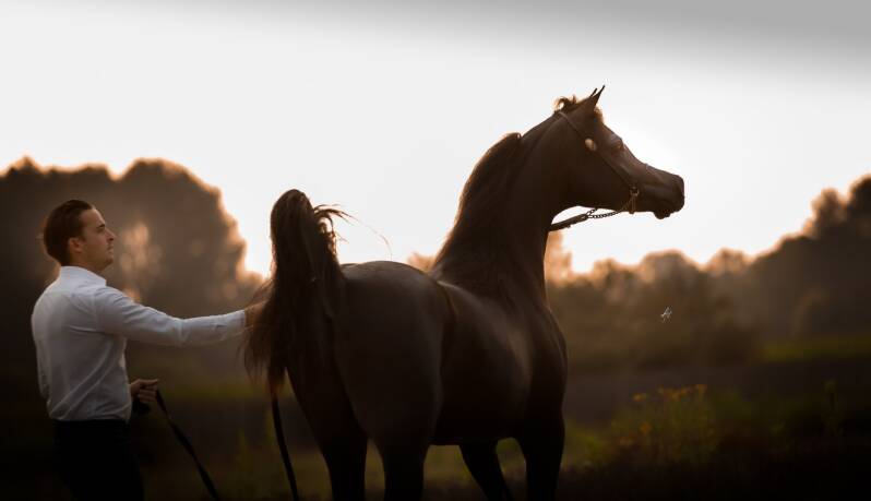 ase-justice-el-jamaal