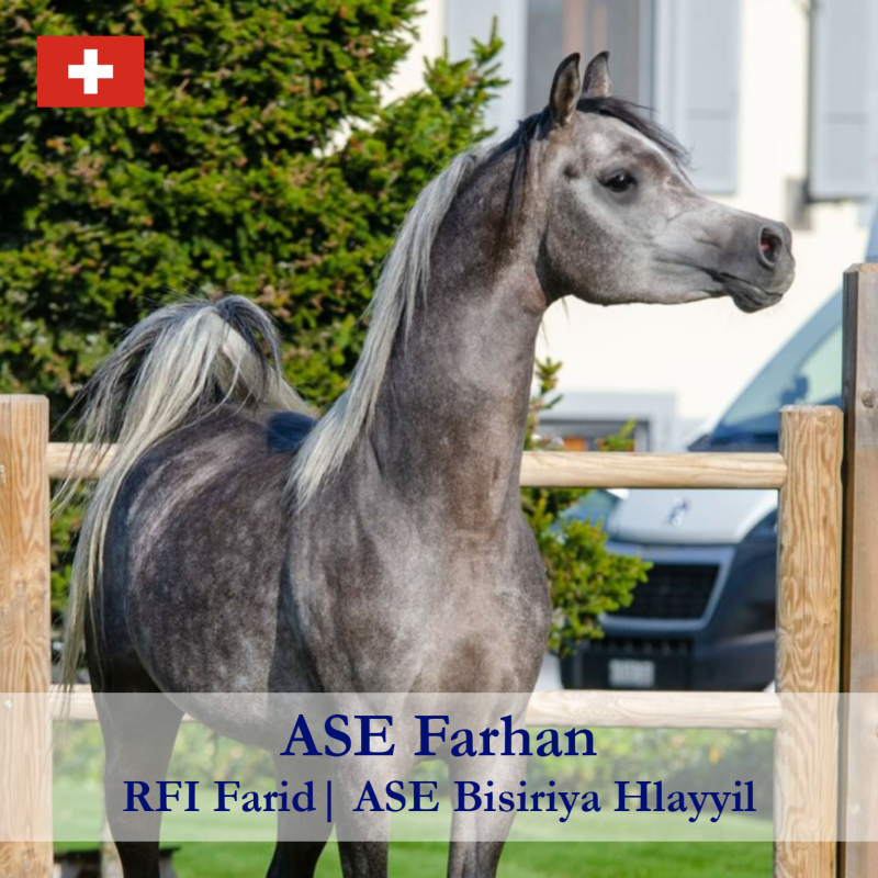 ASE-Farhan