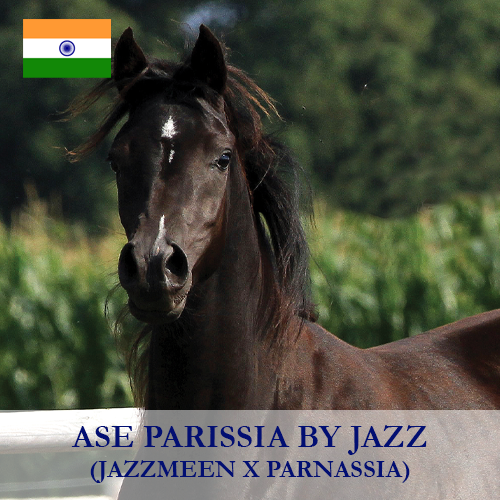 ase-parissia-by-jazz