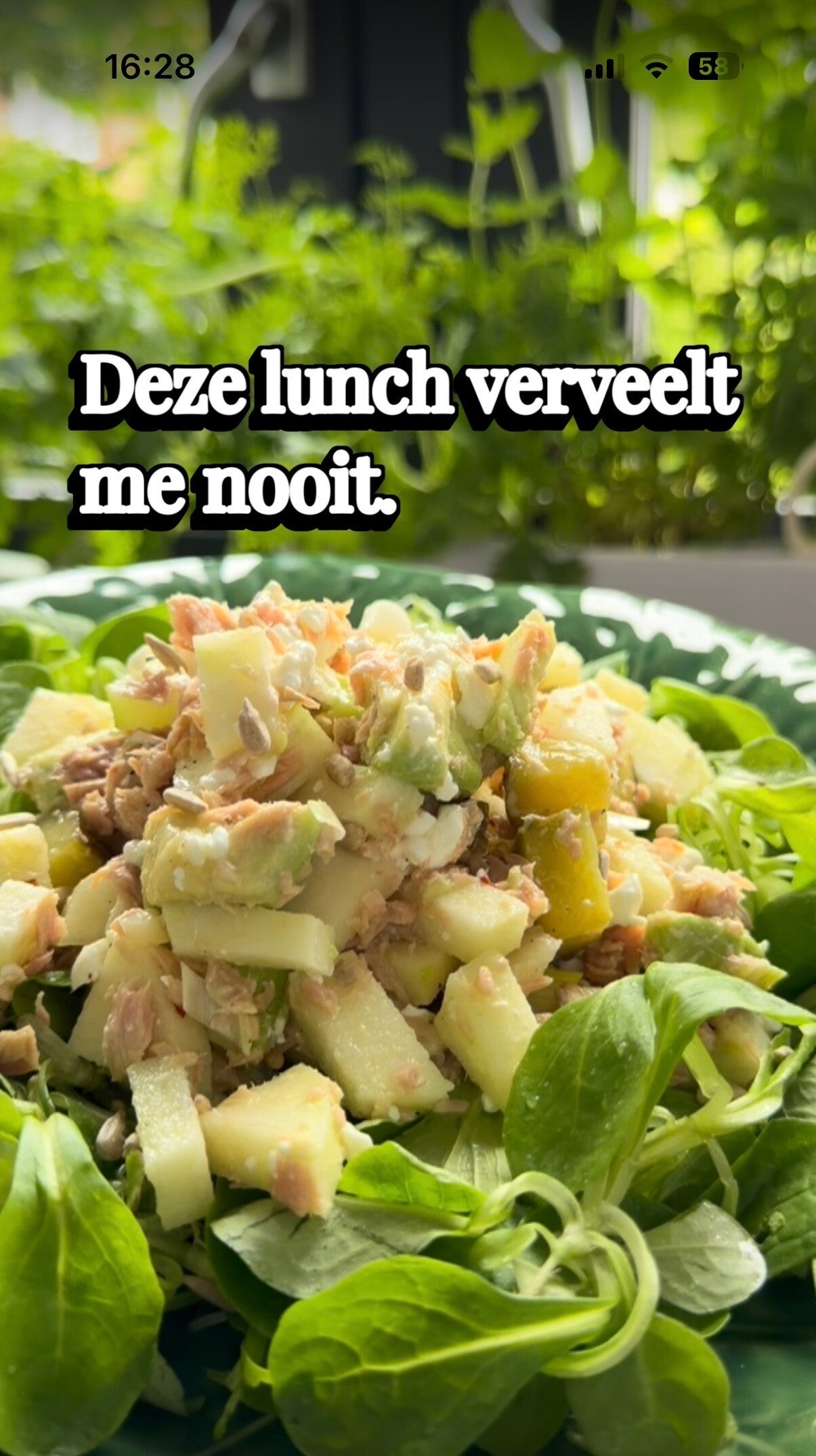 Wat je nog wel kan lunchen voor je hormonen met eiwitten gezonde vetten en antioxidanten, Deze lunch verveelt me nooit