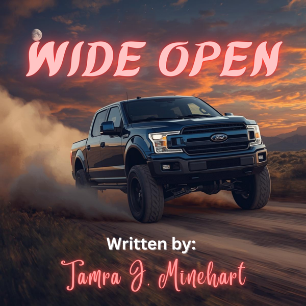 Wide Open Story